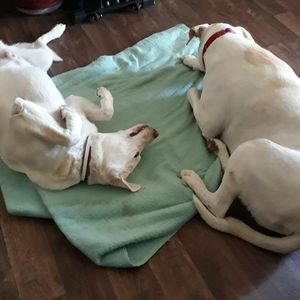 Meet your Posher, Jenny